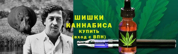 ешки Алзамай