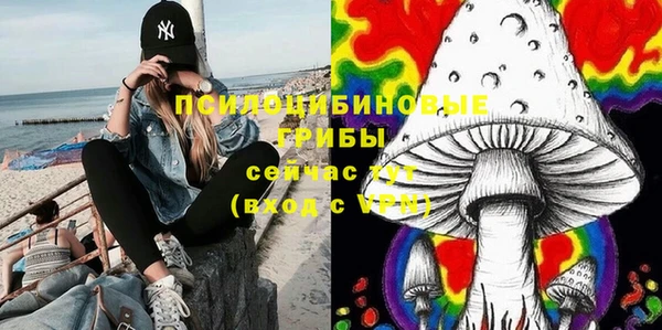 ешки Алзамай